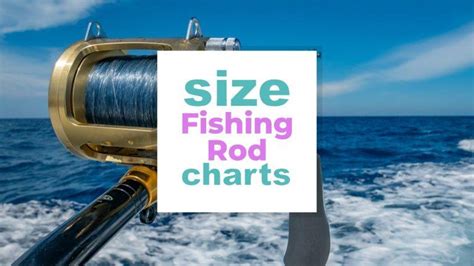 Fishing Rod Length Guide – The Complete Guide .